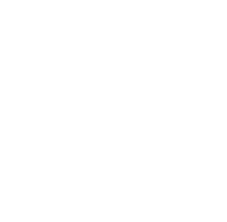 Animazione Animazione